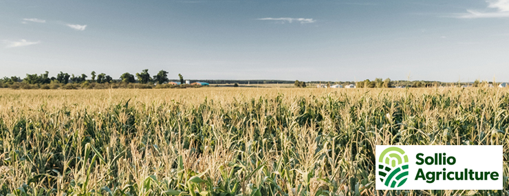 À propos de Sollio Agriculture